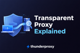 What is a transparent proxy: definition, function, and architectural differences