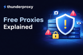 Free proxies explained | Thunderproxy